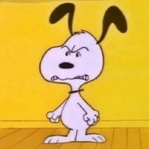 🦴🏠 SNOOPY 6 🏠🦴
