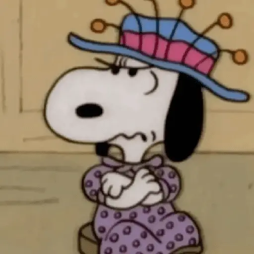 🦴🏠 SNOOPY 6 🏠🦴