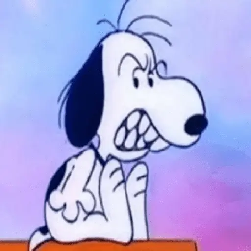 🦴🏠 SNOOPY 6 🏠🦴