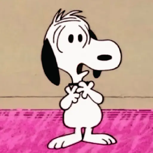 🦴🏠 SNOOPY 6 🏠🦴