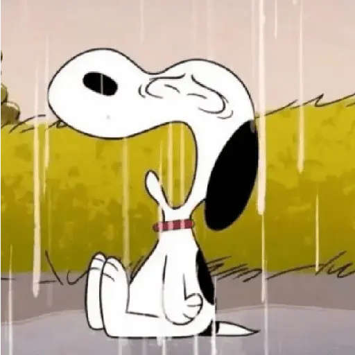 🦴🏠 SNOOPY 6 🏠🦴