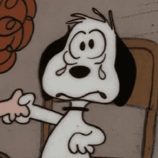 🦴🏠 SNOOPY 6 🏠🦴