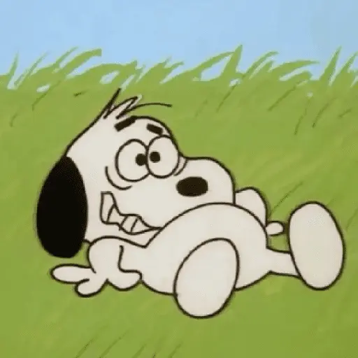 🦴🏠 SNOOPY 6 🏠🦴