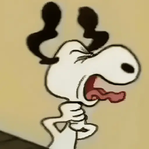 🦴🏠 SNOOPY 6 🏠🦴