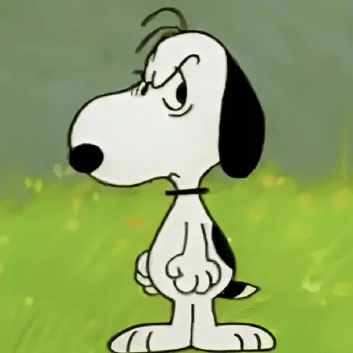 🦴🏠 SNOOPY 6 🏠🦴