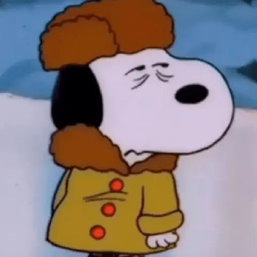 🦴🏠 SNOOPY 6 🏠🦴