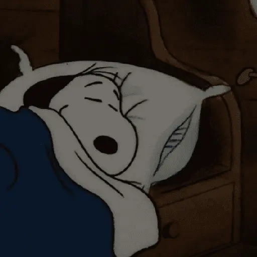 🦴🏠 SNOOPY 6 🏠🦴