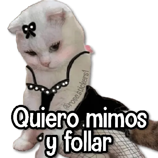 Amor Memes 2❤️🔥💖