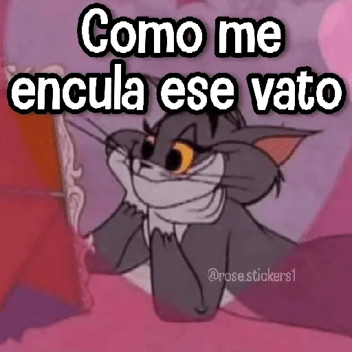 Amor Memes 2❤️🔥💖