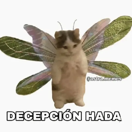 🧚🏻‍♀️🪄🔮HADA memes🔮🪄🧚🏻‍♀️
