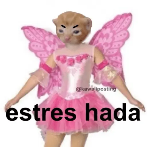 🧚🏻‍♀️🪄🔮HADA memes🔮🪄🧚🏻‍♀️