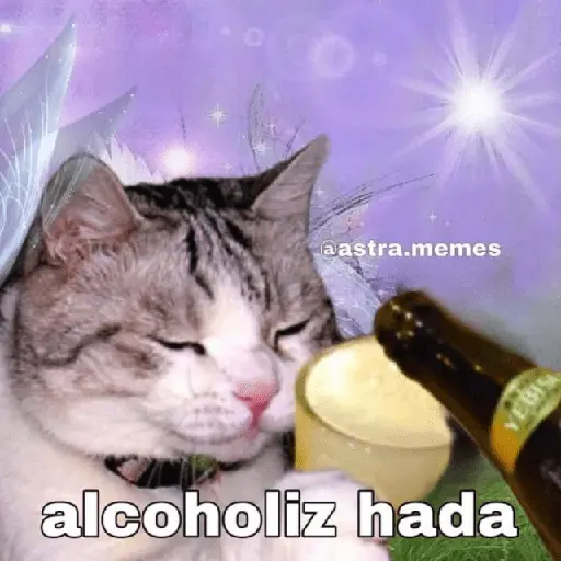 🧚🏻‍♀️🪄🔮HADA memes🔮🪄🧚🏻‍♀️