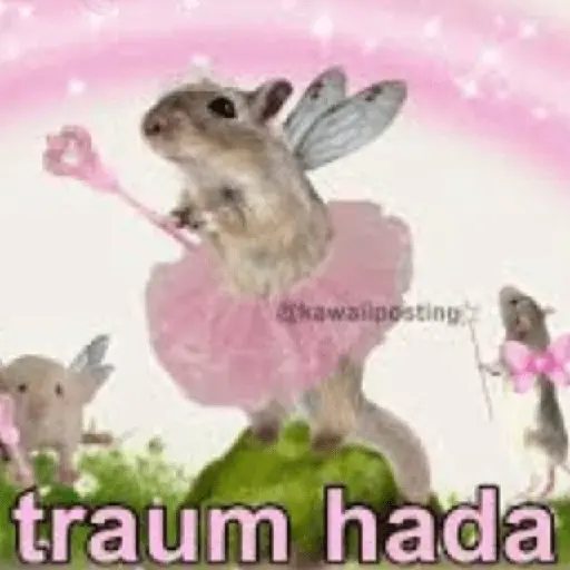 🧚🏻‍♀️🪄🔮HADA memes🔮🪄🧚🏻‍♀️