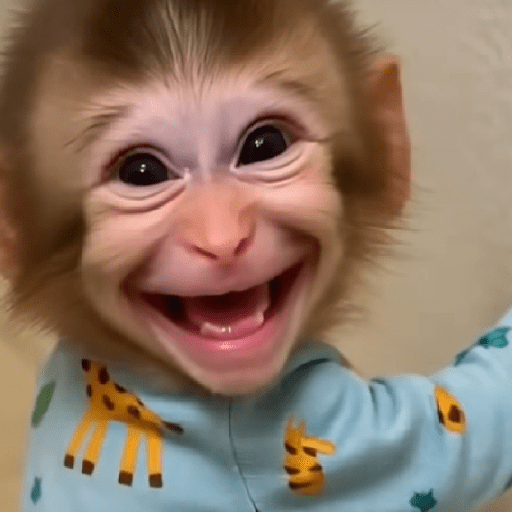 🐵🐒 Monos Tiernos🐒🐵 preview