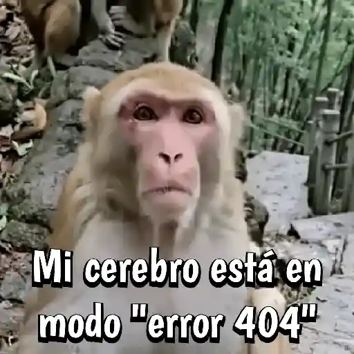 🍌🦍MoNoS #2️⃣🍌🦍