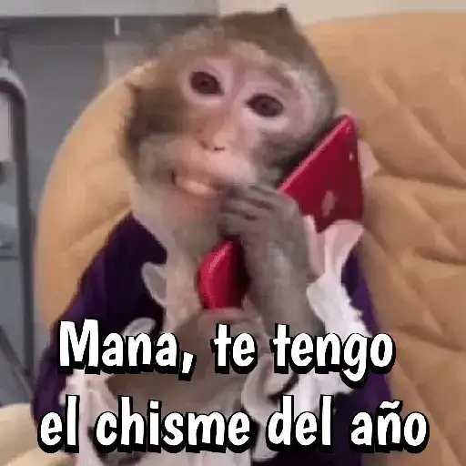 🍌🦍MoNoS #2️⃣🍌🦍