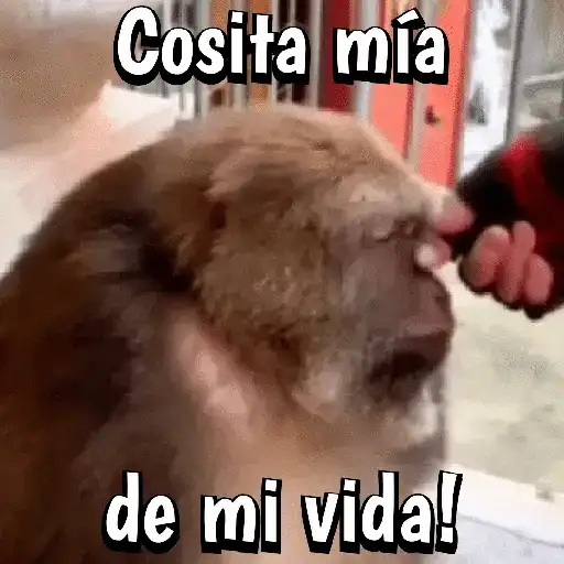 🍌🦍MoNoS #2️⃣🍌🦍 preview