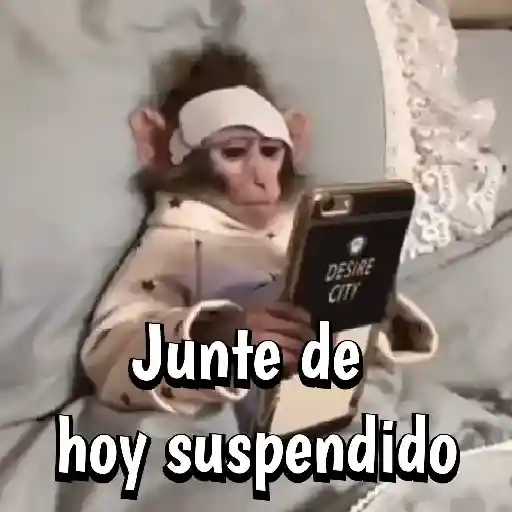 🍌🦍MoNoS #2️⃣🍌🦍