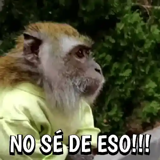 🍌🦍MoNoS #2️⃣🍌🦍