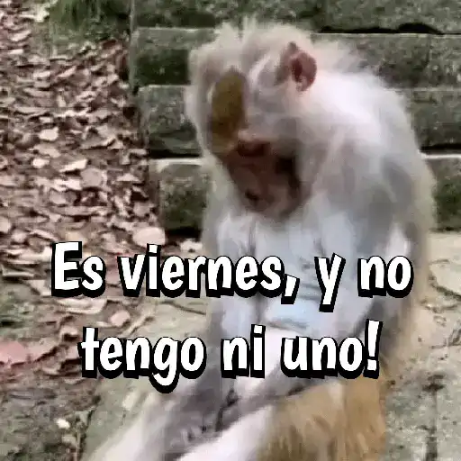 🍌🦍MoNoS #2️⃣🍌🦍 preview