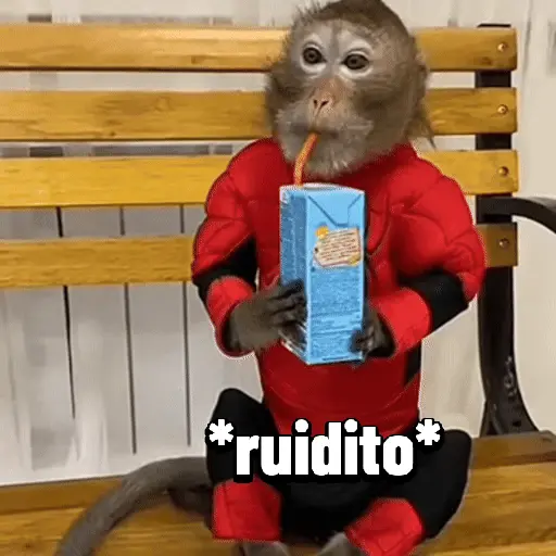 Monos graciosos contestones 🐒 preview