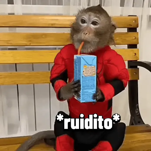 Monos graciosos contestones 🐒