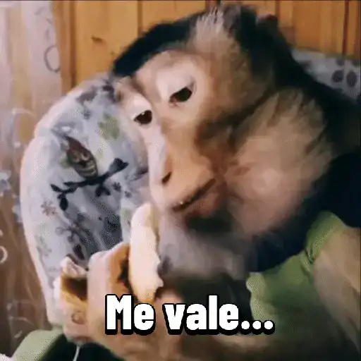 Monos graciosos contestones 🐒 preview