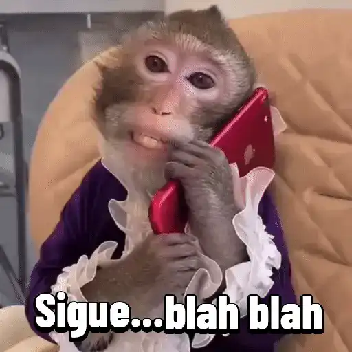 Monos graciosos contestones 🐒