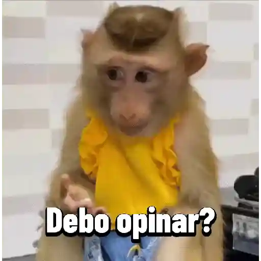 Monos graciosos contestones 🐒