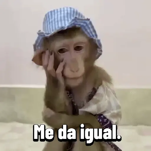 Monos graciosos contestones 🐒