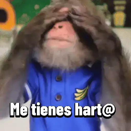 Monos graciosos contestones 🐒