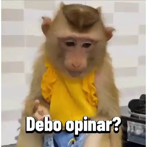 Monos graciosos contestones 🐒 preview