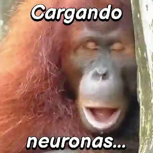 Monos habladores 🐵💬