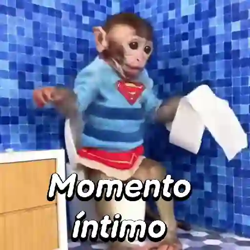 Monos habladores 🐵💬 preview