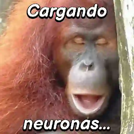 Monos habladores 🐵💬 preview