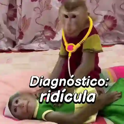 Monos habladores 🐵💬