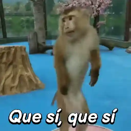 Monos habladores 🐵💬 preview