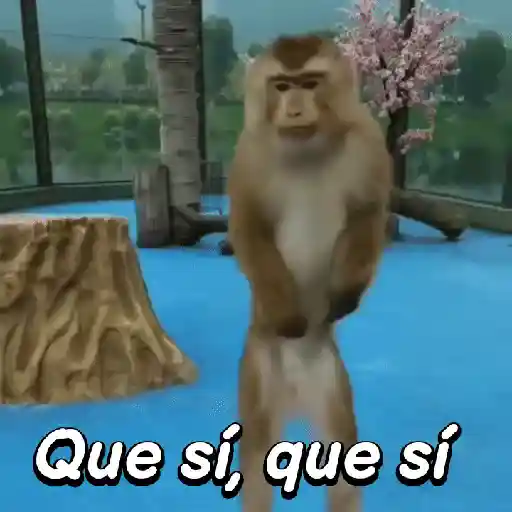 Monos habladores 🐵💬