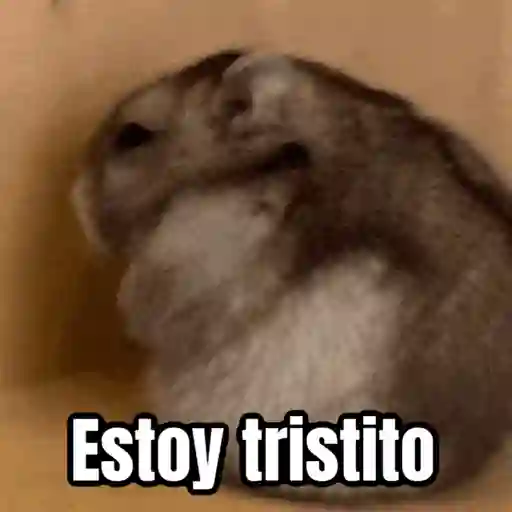 🎬 Memes en movimiento 😂