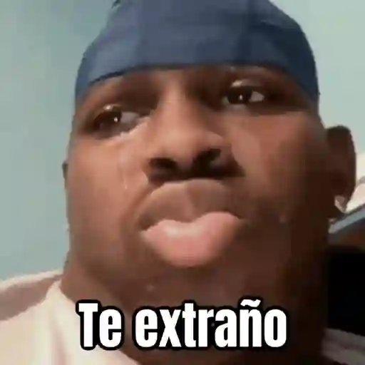 🎬 Memes en movimiento 😂