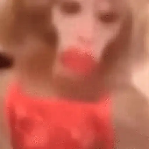 🐒 Monos divertidos random 🐒🐒