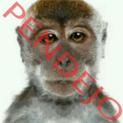 Mono