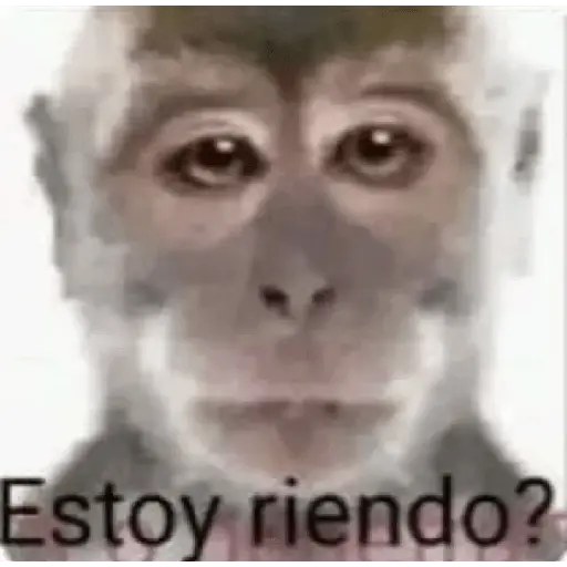 Mono