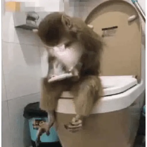 Mono