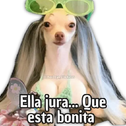 💅🏻🙄 Ella jura 🙄💁🏻‍♀️