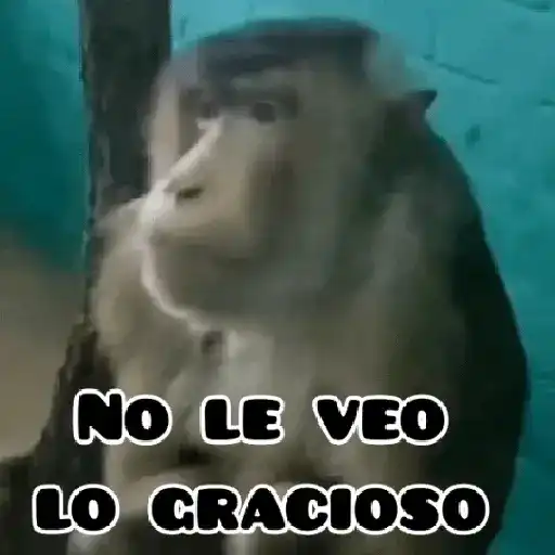 🦧Monkeys🦍Monos🐒Changos