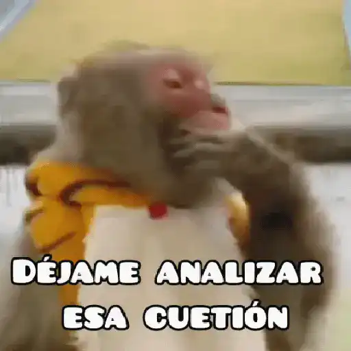 🦧Monkeys🦍Monos🐒Changos