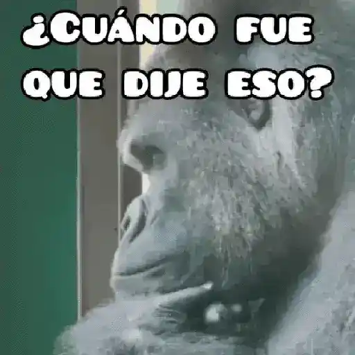 🦧Monkeys🦍Monos🐒Changos