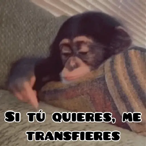 🦧Monkeys🦍Monos🐒Changos preview