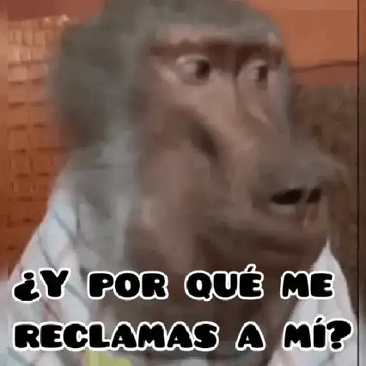 🦧Monkeys🦍Monos🐒Changos